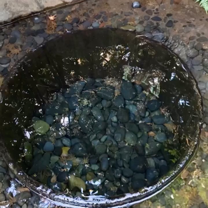 和食会席料理成花通常営業してます！どうぞよろしくお願いします‍♀️

❣️特別な日はSpecial料理で❣️
特別個室ございます。
お祝いコース、ご法事コースございます。
お子様御膳ございます♪

感染予防もしっかり行ってます。店舗は広いので距離を保ってご案内いたします‍♀️

群馬県太田市内ヶ島町1457-1
0276-60-1004
http://narihana.co.jp
和食会席料理　成花