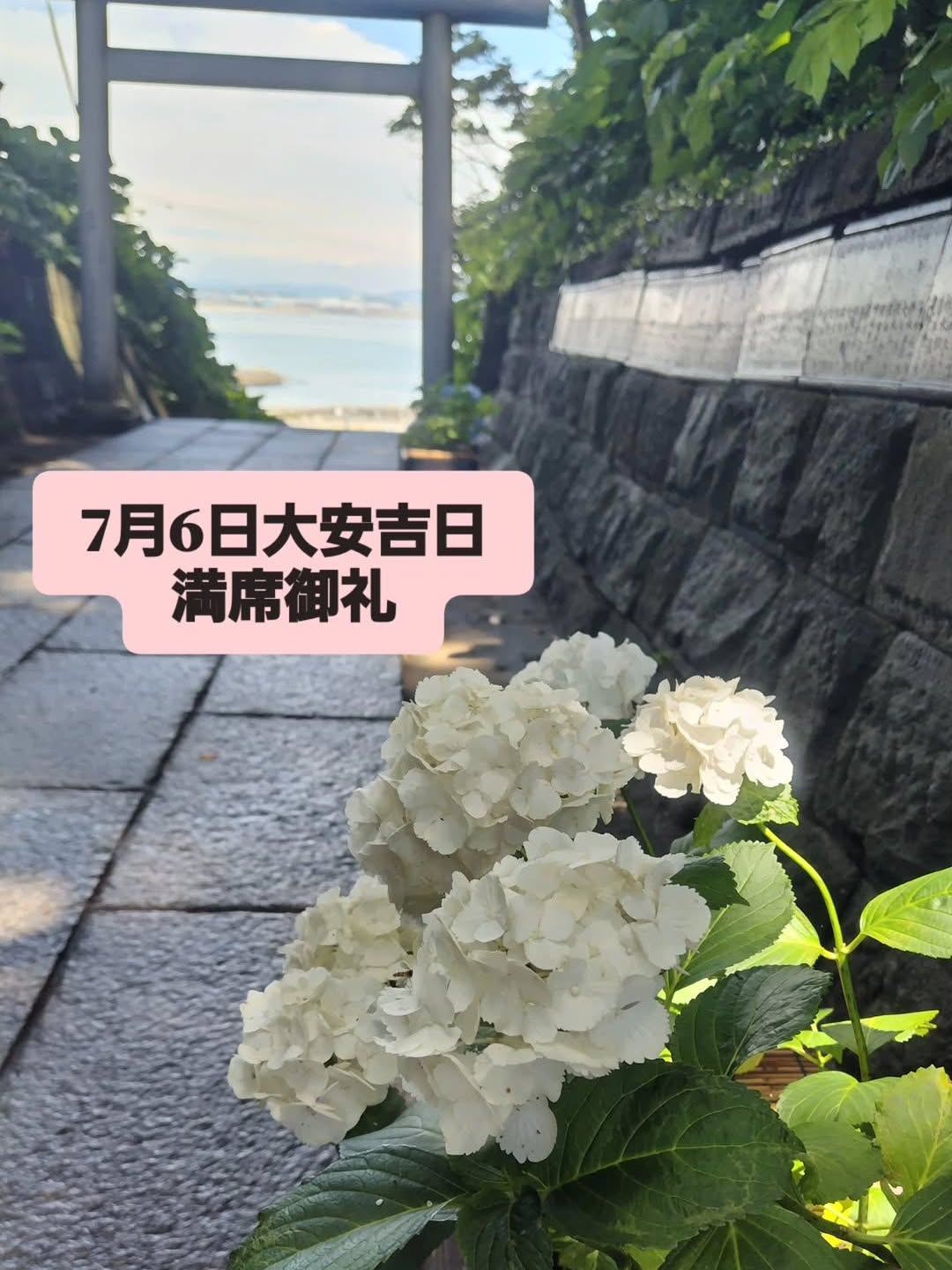 和食会席料理　成花7月6日大安吉日🩷ご予約ありがとうございます思い出に残る大切な日になるよう精一杯お手伝いさせて頂きます。

❣️特別な日はSpecial料理で❣️
特別個室ございます。
お祝いコース、ご法事コースございます。
お子様御膳ございます

http://narihana.co.jp
和食会席料理　成花

Lunch:11:30～14:30
Dinner:17:00～21:30
日曜日夕方、月曜日定休

#会席料理♯ヤングコーン