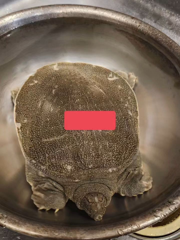 和食会席料理　成花すっぽん料理出来ます〆は雑炊で生き血はりんごジュースで
七五三祝い、その他各種お祝いご予約頂いてます大安吉日はご予約が重なる事が多いので、お席の確保をおすすめしてます。

❣️特別な日はSpecial料理で❣️
特別個室ございます。
お祝いコース、ご法事コースございます。
お子様御膳ございます

http://narihana.co.jp
和食会席料理　成花

Lunch:11:30～14:30
Dinner:17:00～21:30
日曜日夕方、月曜日定休