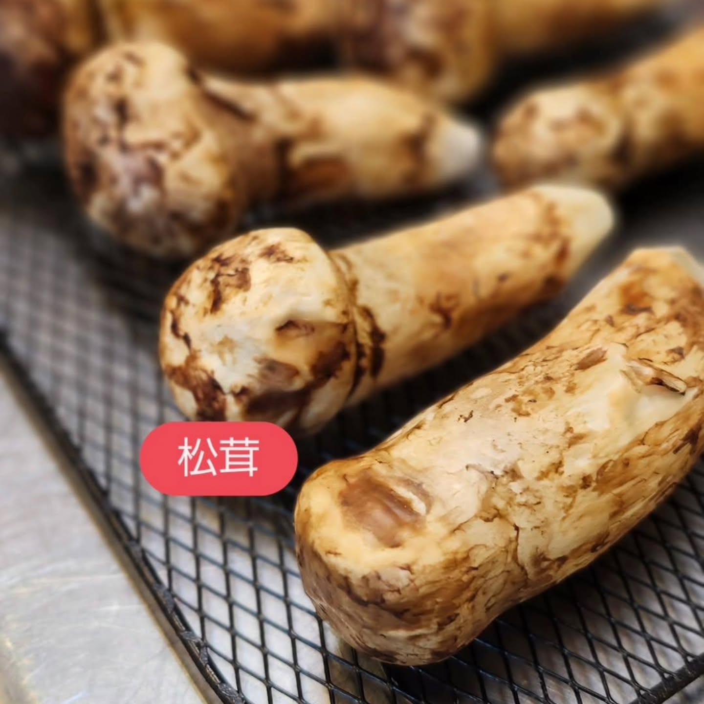 和食会席料理 成花秋の味覚、色々出てます小さい秋を見つけて残暑を乗り切る
❣️特別な日はSpecial料理で❣️
特別個室ございます。
お祝いコース、ご法事コースございます。
お子様御膳ございます
http://narihana.co.jp
和食会席料理 成花
Lunch:11:30~14:30
Dinner:17:00~21:30
日曜日夕方、月曜日定休