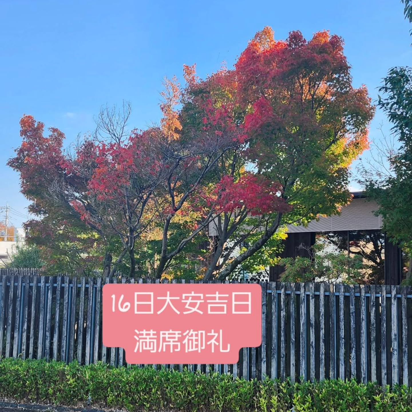 和食会席料理 成花11月16日(日)大安吉日、満席御礼申し上げます。ありがとうございます
❣️特別な日はSpecial料理で❣️
特別個室ございます。
お祝いコース、ご法事コースございます。
お子様御膳ございます
http://narihana.co.jp
和食会席料理 成花
Lunch:11:30~14:30
Dinner:17:00~21:30
日曜日夕方、月曜日定休